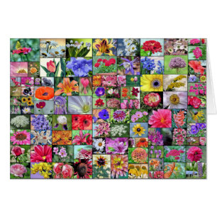 Colagem do cartão de flores