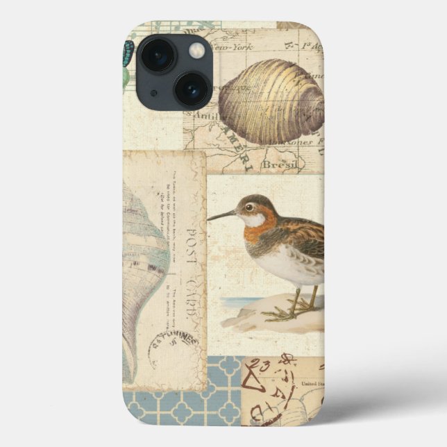 Colagem do Seashell (Verso)