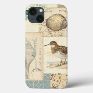 Colagem do Seashell