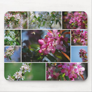 Colagem Mousepad das flores de Apple