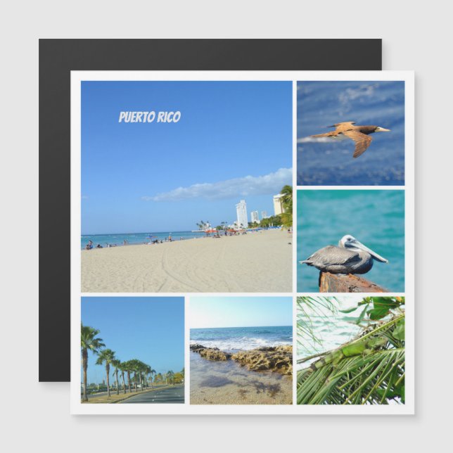 Colagem natural de San Juan, imã de Porto Rico (Frente/Verso)