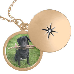 Colar Banhado A Ouro Nome Personalizado e Foto de Pet de Cão 