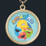 Colar Banhado A Ouro São surpreendentes<br><div class="desc">Os trabalhos de arte do Sesame Street caracterizam o monstro do biscoito,  o pássaro grande,  o Elmo e o Oscar o Grouch em um design "de surpresa".</div>