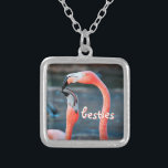 Colar Banhado A Prata Besties Rosa Flamingo Amigos Fotografa Bela Divers<br><div class="desc">Quem disse que flamingos não podem se divertir com seu amigo favorito? Aproveite esta imagem divertida sempre que você veste este incrível e colorido colar de encanto de fotografia de dois flamingos cor-de-rosa brincando. Esse colar vem em pequenos, médios e grandes tamanhos, assim como formas quadradas e circulares. Você pode...</div>
