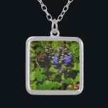 Colar Banhado A Prata Bumble e Bumble Bee<br><div class="desc">Flor de Abelhas Roxo Flor Flor e Abelhas Amarelas e Negras Foto de Abelhas Bumble Foto de Sandy Closs tirada no lago de Arrohead,  "abelha",  flor,  flores,  floral,  primavera,  cereja,  cereja,  jardim,  casamento,  casamentos, </div>