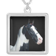 Cavalo de sela manchado