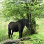 COLAR BANHADO A PRATA CAVALOS<br><div class="desc">Uma bela égua negra descansando à sombra de uma árvore.</div>