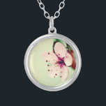 Colar Banhado A Prata Cherry Blossom<br><div class="desc">Vista de perto da delicada flor de cereja. Uma flor pastel rosa com pétalas redondas macios. O fundo é um verde limão pálido.</div>