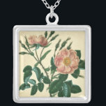Colar Banhado A Prata Doce Rosa Briar<br><div class="desc">Floral</div>