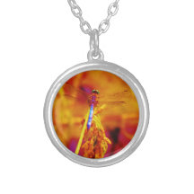 Dragonfly em âmbar e fuschia