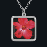 Colar Banhado A Prata Flor de Hibiscus Vermelho Rosa-Quente a Preto<br><div class="desc">Lindo foto de uma flor de Hibisco Vermelho Rosa-Quente em Preto, da artista Sandra Marie Closs. Adicione seu próprio texto, nome ou monograma para criar o produto perfeito para qualquer ocasião. Casamento, festa de jardim de festas nobres, compaixão, aniversário, chá de fraldas, qualquer celebração ou apenas para tornar o seu...</div>