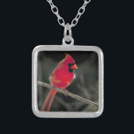 Colar Banhado A Prata Foto de um Cardeal Vermelho Emitido em uma Ramific<br><div class="desc">Uma bela fotografia da natureza de um cardeal brilhante de norte vermelho gravado em um galho de árvore.</div>