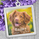 Colar Banhado A Prata Foto Personalizada De Pet Do Memorial Do Cão<br><div class="desc">Honre seu melhor amigo com um colar personalizado de memórias fotográficas. Esta única lembrança de animais de estimação é o presente perfeito para você, sua família ou amigos prestarem tributo ao seu amado. Este colar memorial de cães é perfeito para a mãe de cães, amantes de cães, memoriais de gatos....</div>