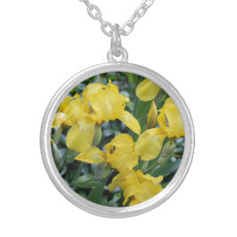 Colar Banhado A Prata Jardim da Flor Íris Amarelo