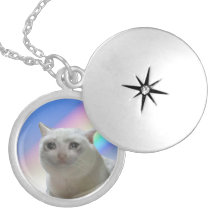 Meu lindo cacifo do filho