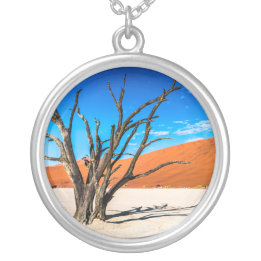 Colar Banhado A Prata Morto em Deadvlei, Namíbia