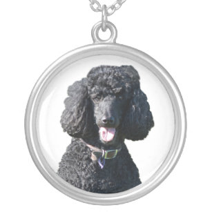 Colar Banhado A Prata Retrato bonito da foto do preto do cão de caniche