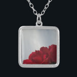 Colar Banhado A Prata Rosas vermelhas contra o céu azul brilhante<br><div class="desc">Rosas vermelhas Contra uma Foto Brilhante do Céu Azul por Sandy Closs,  tirada no lago Arrohead. "rosa vermelha""rosas vermelhas""rosa rosa rosa""rosas cor-de-rosa""casamentos""presente de amor""flor vermelha""flores vermelhas" rosa vermelho azul vermelho rosa "presentes com rosas"</div>