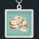 Colar Banhado A Prata Sepia Striped Shell em Teal<br><div class="desc">Megan Meagher é conhecida por suas simples peças de arte. Esta é uma imagem excelente da arte decorativa capturando a vida marinha com uma casca de sepia de concha listrada. Obtenha este impressão de arte hoje em dia em cor real no seu produto Zazzle.</div>
