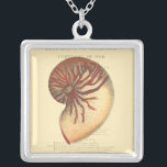 Colar Banhado A Prata Vintage Red Conch Shell<br><div class="desc">Nesta imagem vívida,  você pode ver no estilo original e natural vintage da casca vermelha Conch perto. Este tipo único de arte tem sombreado preto e vermelho para destacar a espiral desta concha. Pegue esta concha com um fundo de sepia no seu produto hoje.</div>