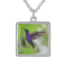 Colar de pingente de beija-flor