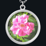 Colar de Placa de Prata Rosa Rosa Brilhante<br><div class="desc">Um bonito presente de casamento para as suas damas de honra para as obrigados para o fazer do seu dia especial perfeito. Este colar de pingente prateado combina com a sua papelaria de casamento e é de uma colagem de papel pintada à mão por Judy Adamson.</div>