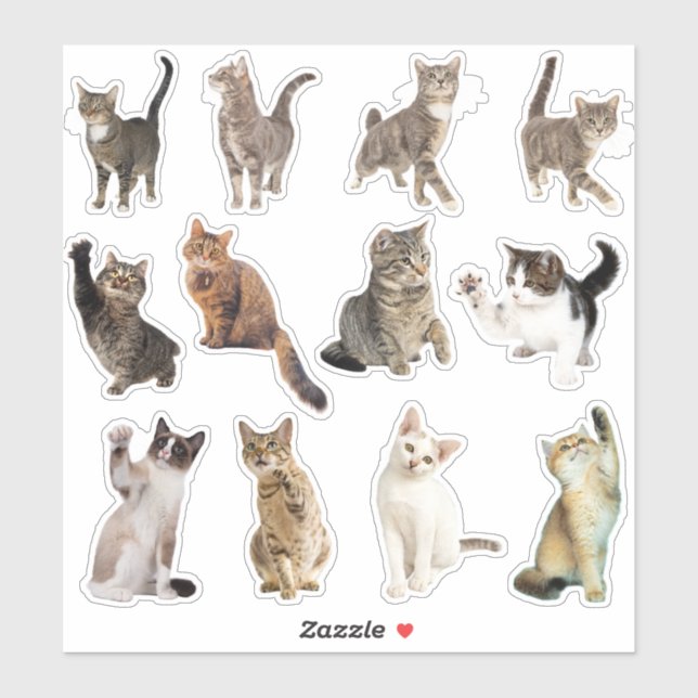 Coleção de Adesivos de Gato (Folha)