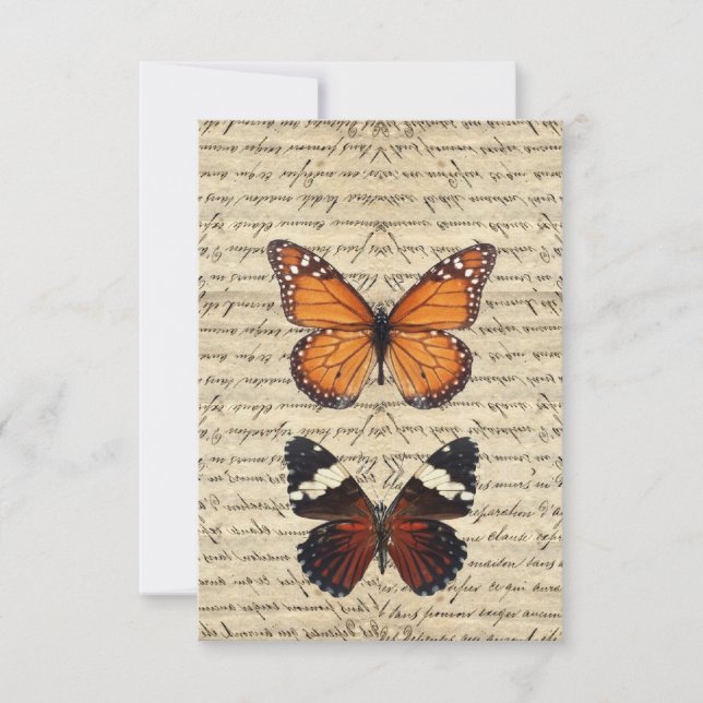 Coleção de borboletas (Frente)