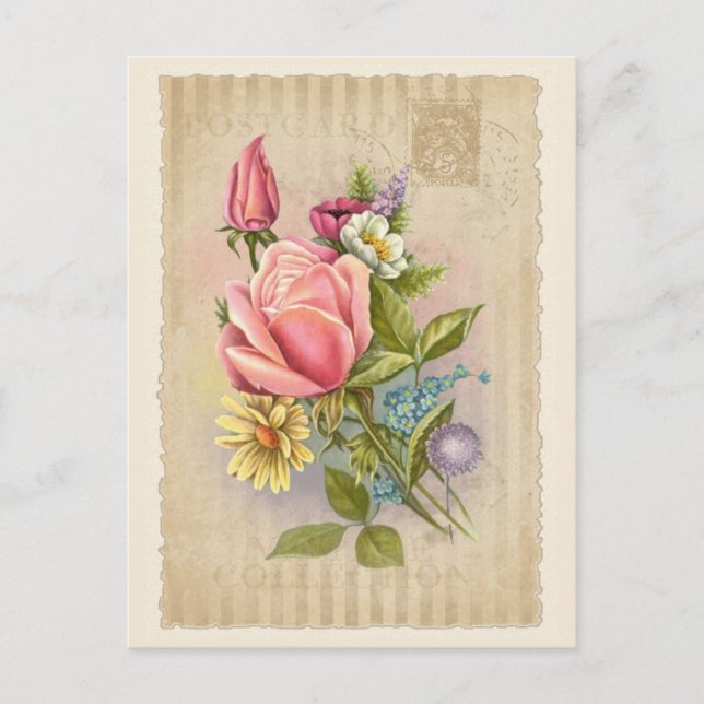 Coleção de Cartão Postal - Vol.5 - Cartão-postal (Frente)