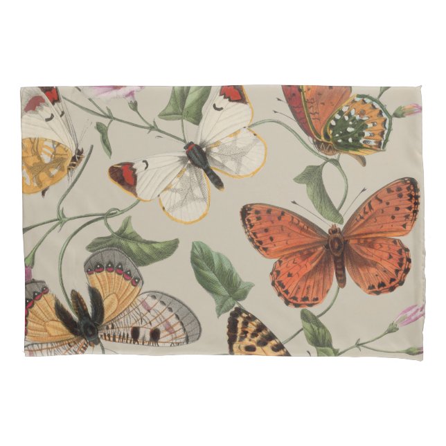 Coleção de Desenhos de Mariposa Borboleta Natureza (Frente)