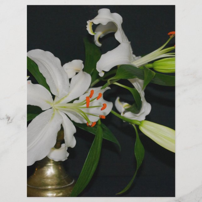 Coleção de Design e Flores irlandesas (Frente)