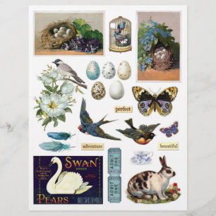 Coleção de Ephemera Vintage: Aves e Coelhinho