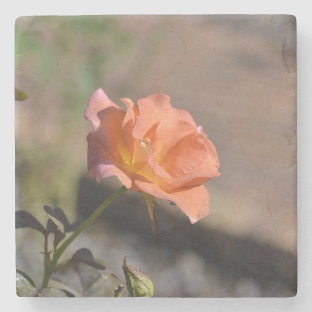 Coleção de Porta-Copos Jardim de Rosas 4 de 4 (Frente)
