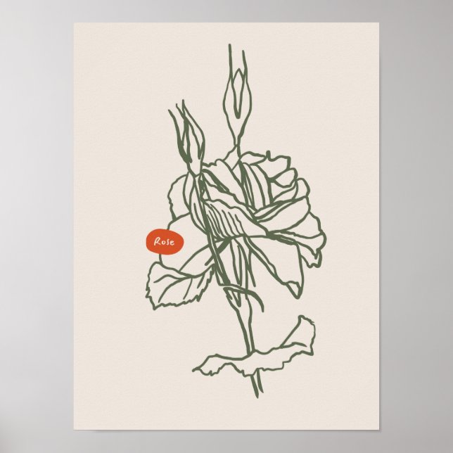 Coleção de poster de arte natural (Frente)