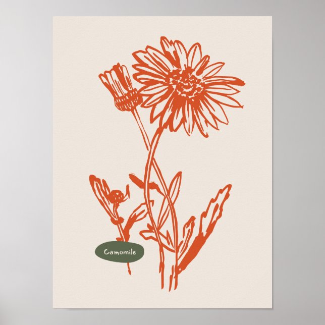 Coleção de poster de arte natural (Frente)