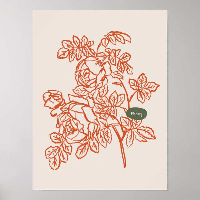 Coleção de poster de arte natural (Frente)