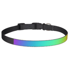 Coleira Colar Pet de Casamento Gradiente Bright Rainbow