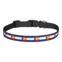 Colorado: Bandeira do Estado do Centenário dos EUA