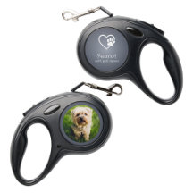 Coleira de Cachorro Personalizada Cinza 'cheirar, 