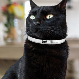 Coleira Gato Sorrateiro
