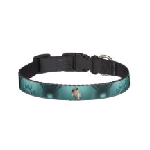 Personalize seu Colar de Cachorro Verde com uma fo