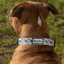 Taino - Símbolos da Cultura Porto Rico