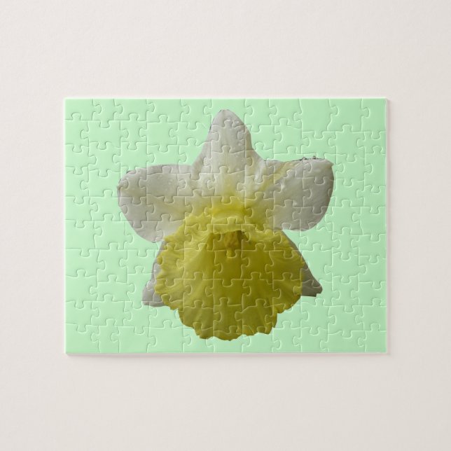 Coleta de Quebra-cabeça Daffodil (Horizontal)