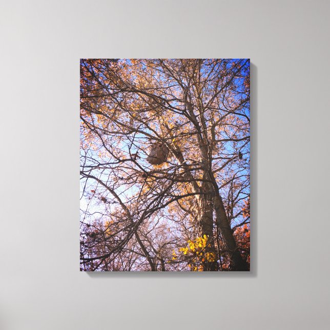 Colete de Hornets na canvas (Frente)