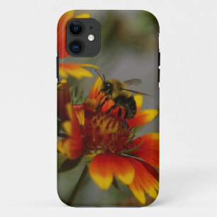 Colheita de abelhas em capas de iphone de flores d