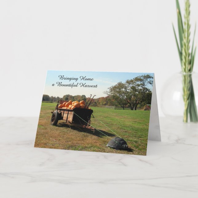 Colheita de Abóbora - Cartão de Ação de Graças (Frente)