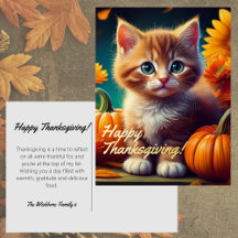 Colheita Kitten Laranja Gato Pumpkin Ação de Graça