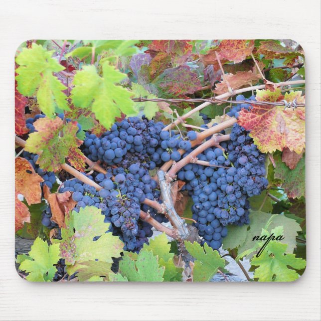 Colheita Mousepad de Napa Valley (Frente)