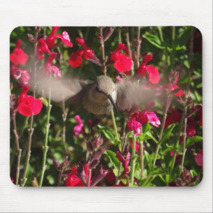 Colibri alegre Mousepad