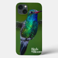Colibri de flutuação